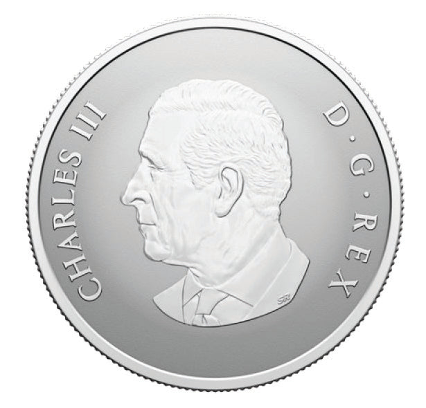 2025 $10 FINE SILVER COIN - WELCOME TO THE WORLD! image 1
