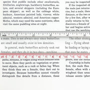 Bar Ruler Magnifier image 1