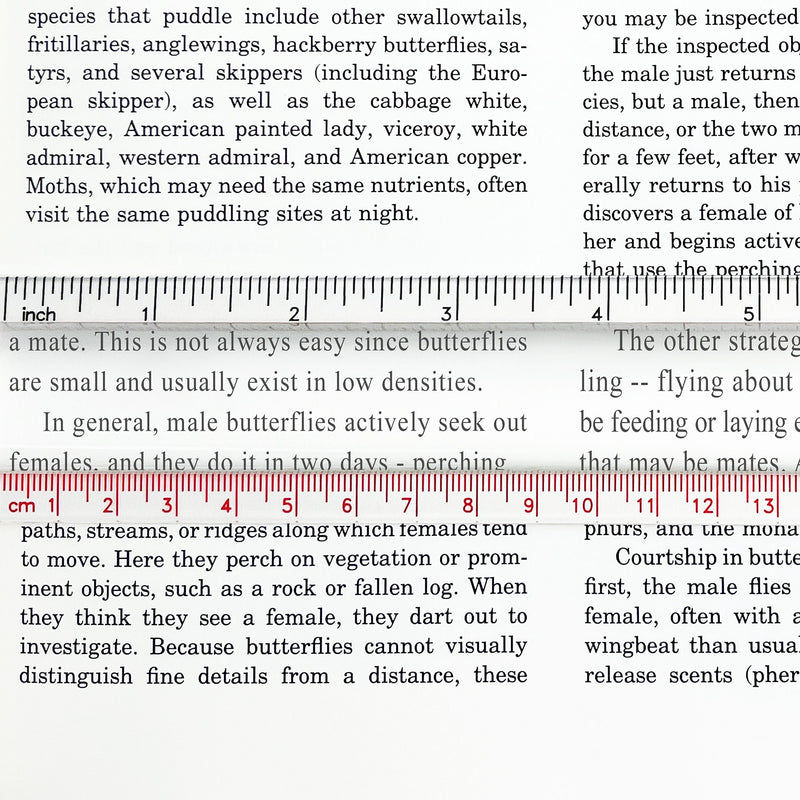 Bar Ruler Magnifier image 1