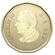 2024 Specimen Set – Northern Leopard Frog image 1