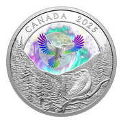 Moon Sky: Raven – 1 oz. Fine Silver Coin image 0