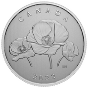 ¼ oz. Pure Silver Coin – Moments to Hold: Remembrance Day image 0