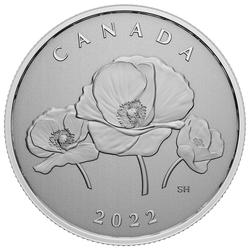 ¼ oz. Pure Silver Coin – Moments to Hold: Remembrance Day image 0
