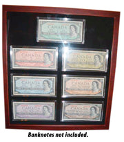 Sharp looking showcases for 6 OR 7 banknotes, including Capsules image 1