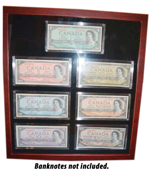Sharp looking showcases for 6 OR 7 banknotes, including Capsules image 1