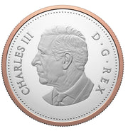 2024 FINE SILVER PROOF SET - 100TH ANNIVERSARY OF THE ROYAL CANADIAN AIR FORCE image 1