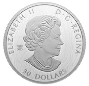 2023 $30 FINE SILVER COIN - THE STRIKING BALD EAGLE image 1