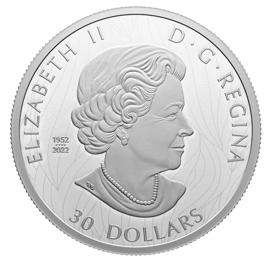 2023 $30 FINE SILVER COIN - THE STRIKING BALD EAGLE image 1