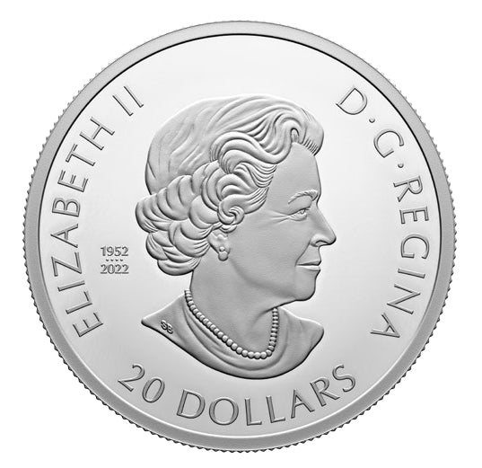 2023 $20 FINE SILVER COIN - REMEMBRANCE DAY image 1