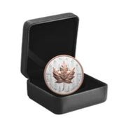 2025 $20 FINE SILVER COIN ULTRA-HIGH RELIEFE 1-OZ SML image 2