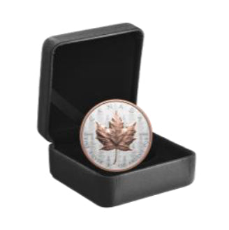 2025 $20 FINE SILVER COIN ULTRA-HIGH RELIEFE 1-OZ SML image 2