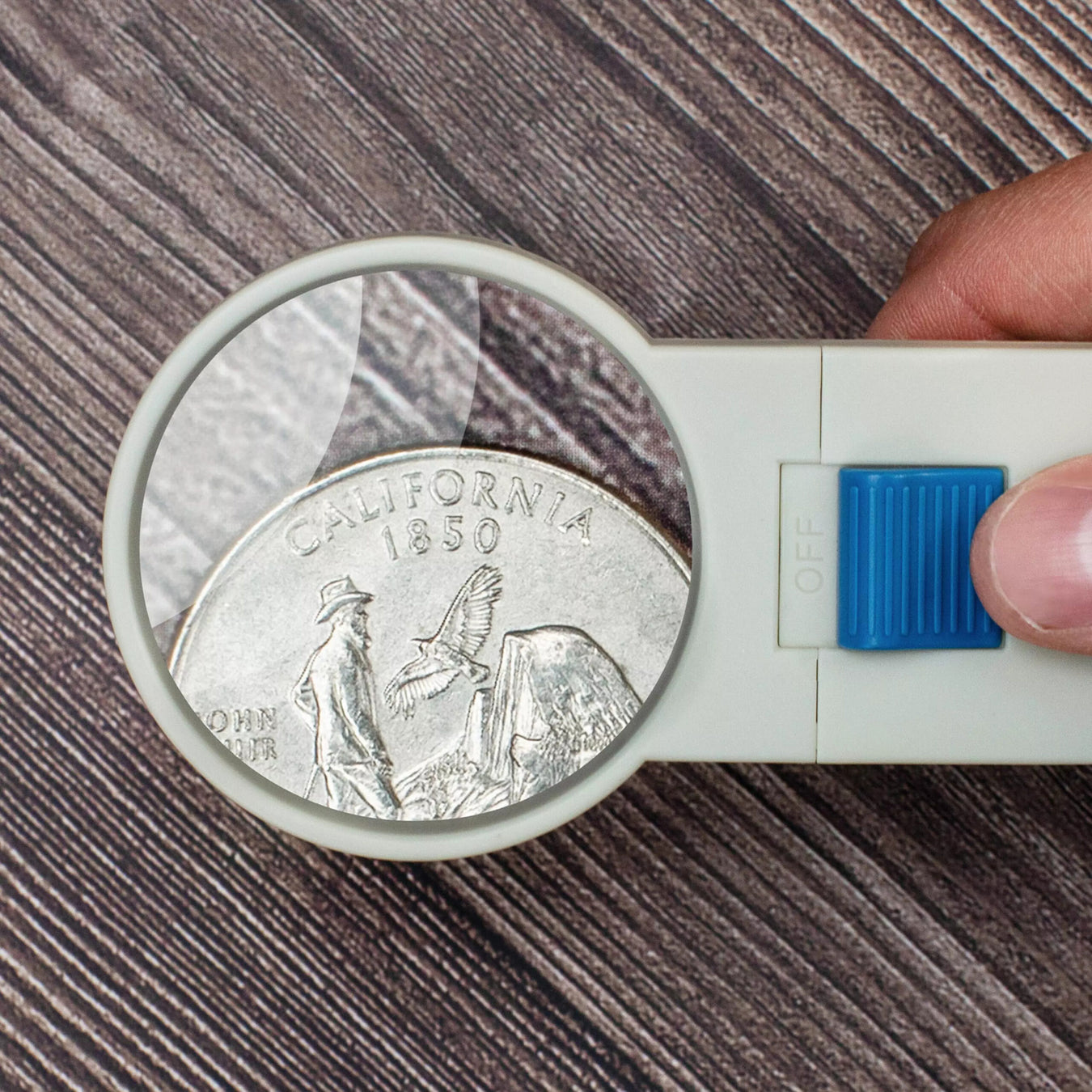 Magnifiers & Microscopes