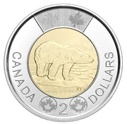 Klondike Gold Rush Keepsake Set image 6