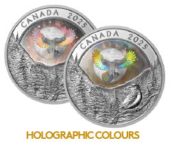 Moon Sky: Raven – 1 oz. Fine Silver Coin image 1