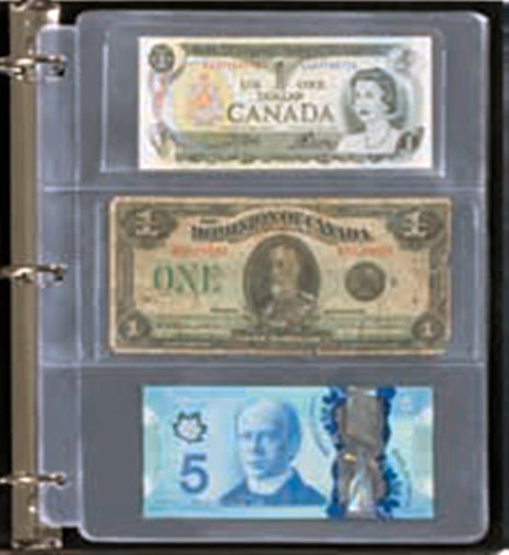 Sheets to hold three banknotes -- single or pack of 50 - Single Pages image