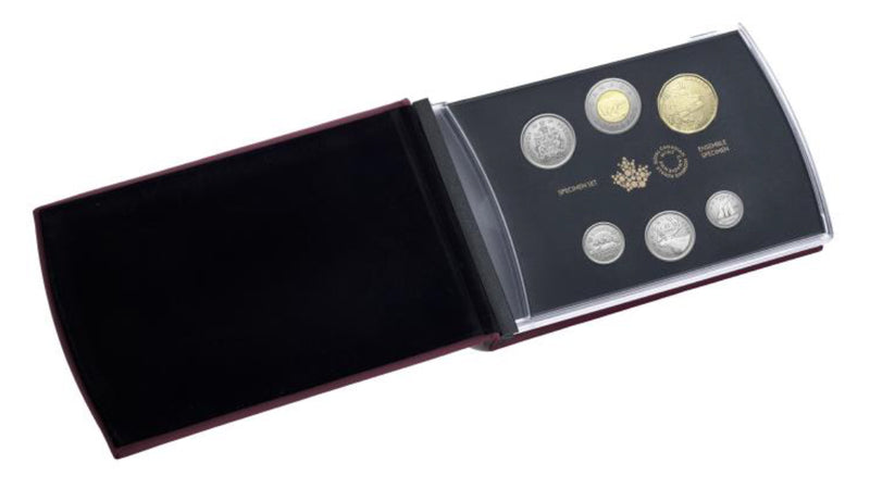 2024 Specimen Set – Northern Leopard Frog image 2