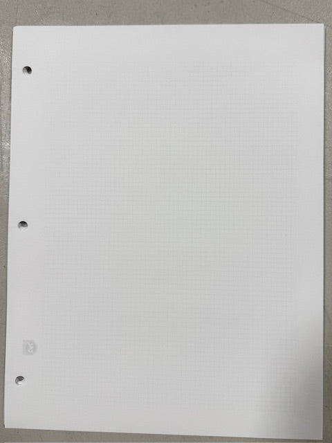 BRILLIANT Pages  For Mounting Stamps, Covers and More