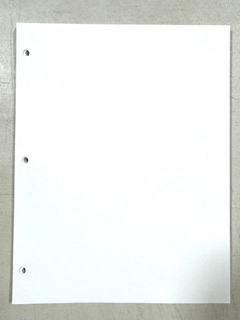 BRILLIANT Pages  For Mounting Stamps, Covers and More