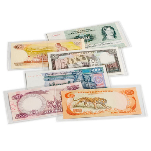 BASIC 204 Currency Sleeves image 0