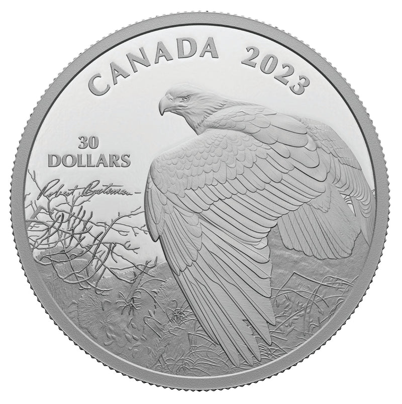 2023 $30 FINE SILVER COIN - VANTAGE POINT - BALD EAGLE, BY ROBERT BATEMAN image 0