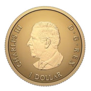 2026 $1 PURE GOLD COIN  30TH ANNIVERSARY OF CANADA'S ARBOREAL EMBLEM image 1
