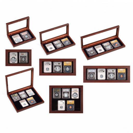VOLTERRA COIN CASES FOR CERTIFIED COIN HOLDERS (SLABS) image 0