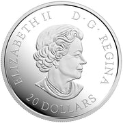 1 oz. Pure Silver Coloured Coin - Canadian Honours: Sacrifice Medal - Mintage: 5,500 (2017) image 1
