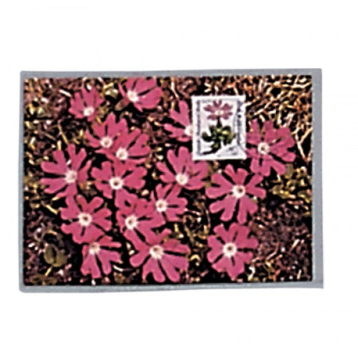 Postcard Sleeves- Continental Size Mediumweight-Top Open Pack of 50 image 0