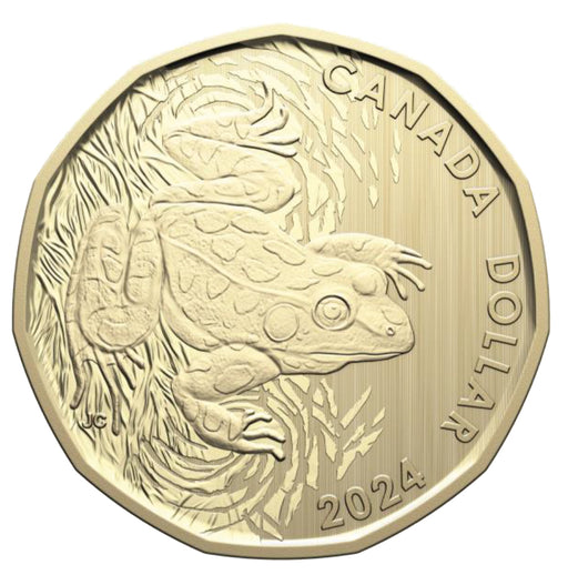 2024 Specimen Set – Northern Leopard Frog image 0