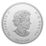 2023 $50 FINE SILVER COIN - CANADIAN COLLAGE: FOUR SEASONS image 1