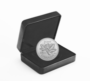 5 oz. Pure Silver Coin – 10th Anniversary of the Last Penny image 1