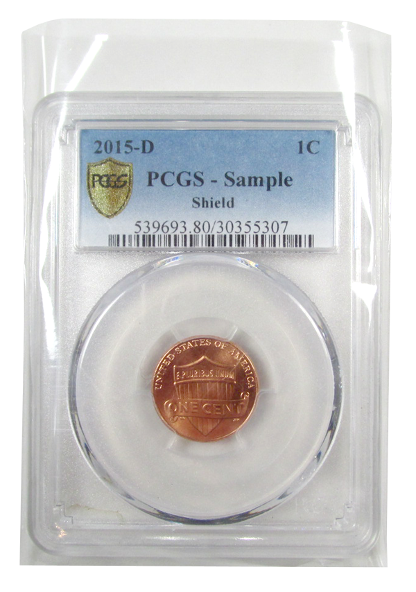 Graded Coin Slab Protector Bag 100 Resealable For NGC and PCGS 